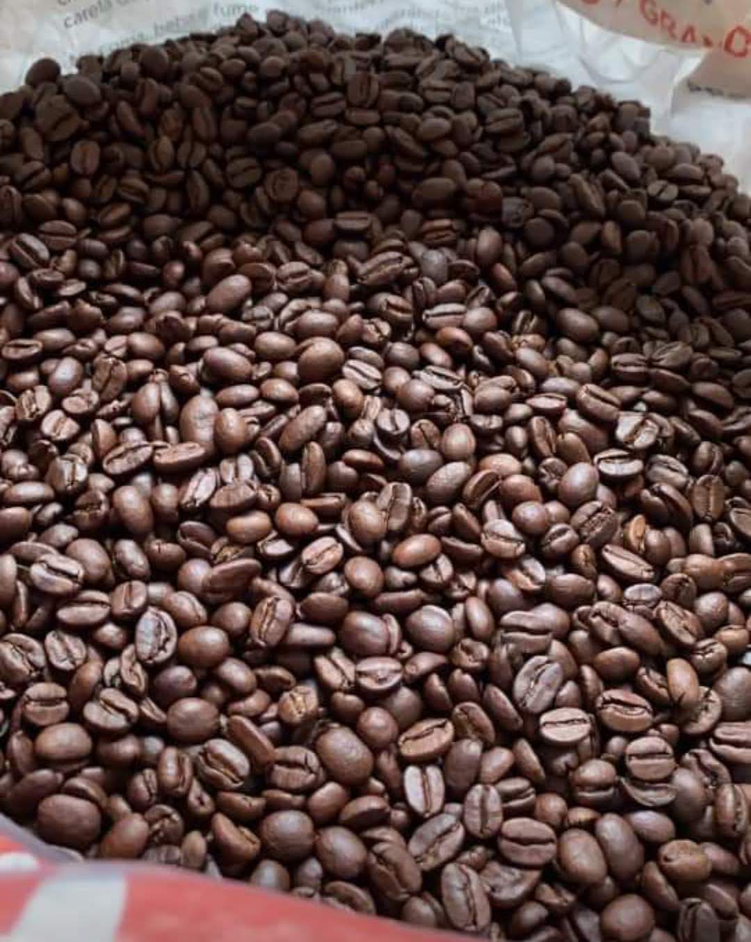 Café Los Altos (Chiapas cafe de altura 500 g)