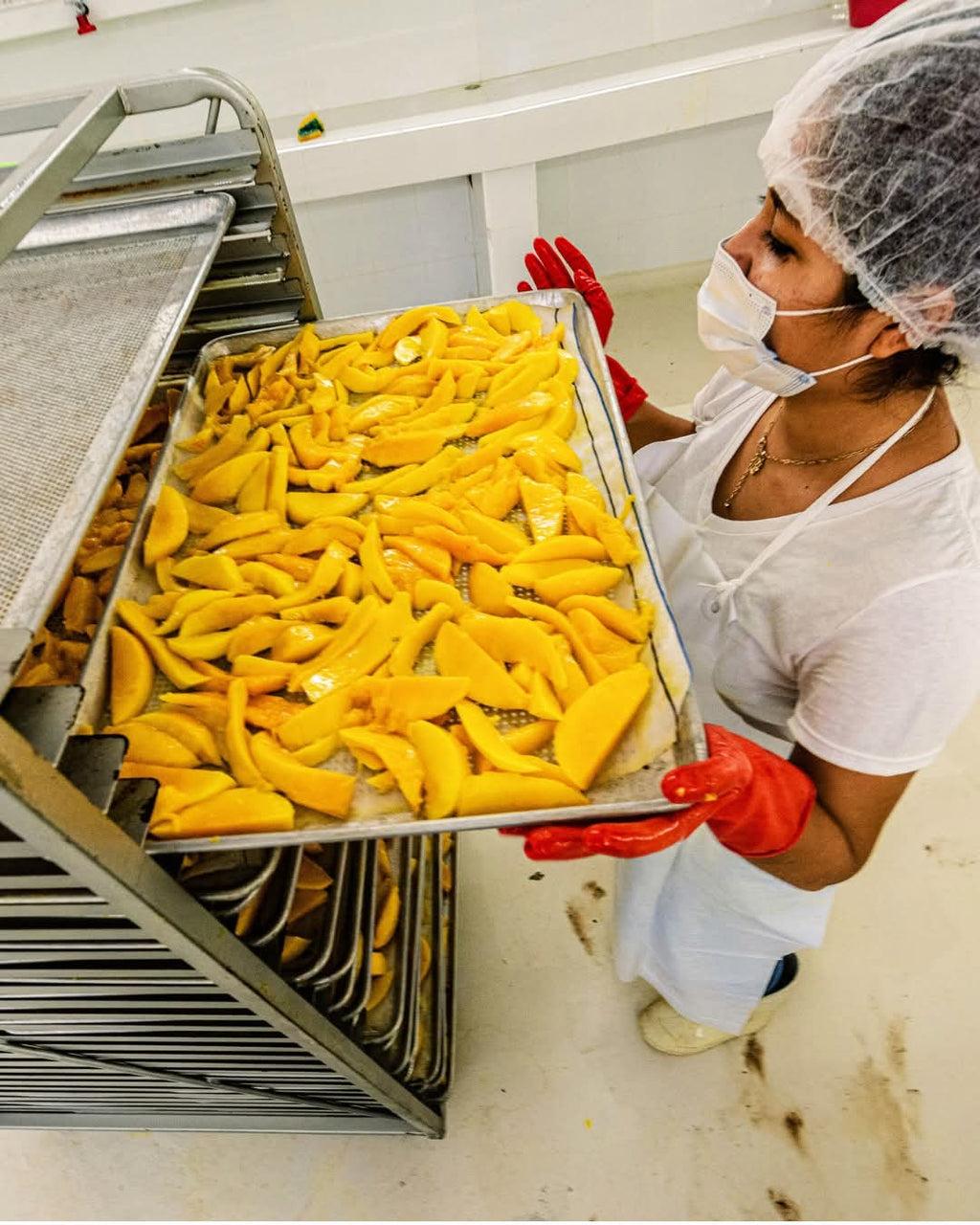 MANGO "TIERRA SIN NOMBRE" (DESHIDRATADO)