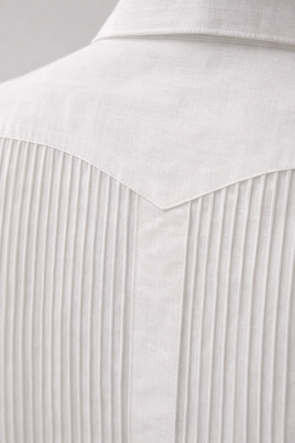 GUAYABERA PRESIDENCIAL
