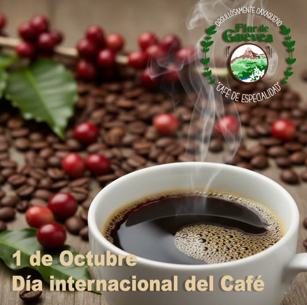 CAFE DE OAXACA - Flor de Guevea